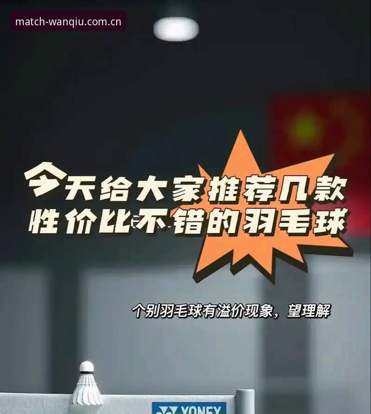 揭秘玩球体育手机版评测：老用户亲测，这些细节你不知道的事